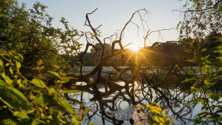 Tree water sunlight autumn branches - anthony s waters free wallpaper for desktop