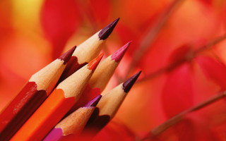 Pencils red leaves ultrafine blurry - a red background free wallpaper for desktop