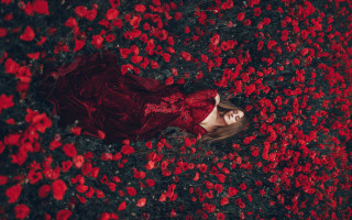 Woman red dress field flowers 3 - red flower free wallpaper