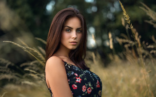 Woman field tallgrass portrait blurry - tall grass free wallpaper