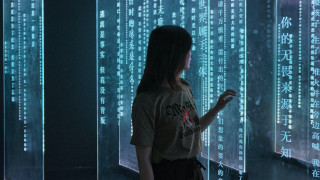 Woman wall numbers cyberpunk interactive - interactive free wallpaper