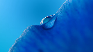 Water drop blue sky macro - anthony s waters free wallpaper