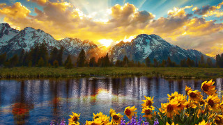 Mountain lake autumn sunset flower - the foreground and a sunset in the background free wallpaper