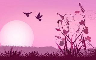 Pink sunset bird field moon - a bird free wallpaper for desktop