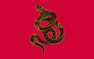 Snake cobra red background black - a black outline free wallpaper