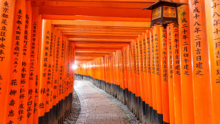 Orange pillars asiatic writing lantern - asian free wallpaper