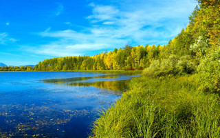 Lake trees grass blue sky 3 - tree and grass free wallpaper