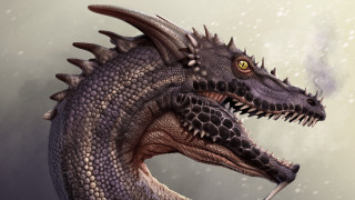Dragon snowstorm foggy sky fantasy - dragon art free wallpaper