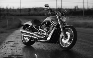 Motorcycle road field trees blackwhite - cinematic photography free wallpaper