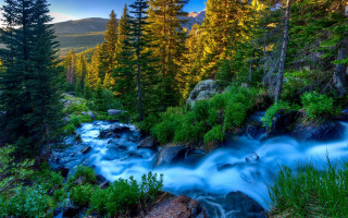 Stream forest trees rocks mountains - the mountain free wallpaper