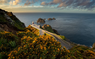 Ocean lighthouse hill autumn leaves - a hill next free wallpaper