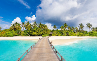 Wooden bridge beach palm trees - palm tree and a hut free wallpaper