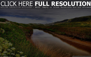 River lush hillside forest flowers - lush free wallpaper