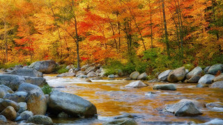 Hudson river autumn leaves forest 2 - river free wallpaper