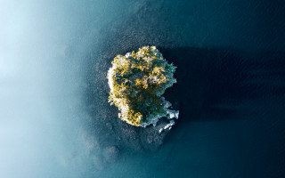 Small island tree ocean microscopic - the middle of the ocean free wallpaper
