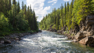 River forest rocks blue sky 2 - river free wallpaper