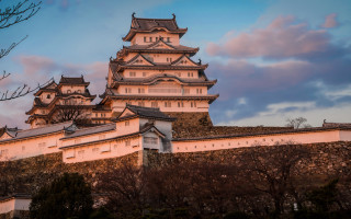 Castle tower trees cloudy sky 2 - a tower free wallpaper