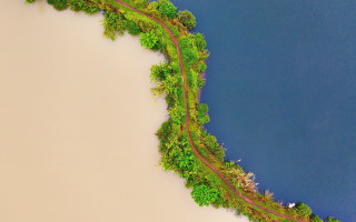 Train river flowers trees nature - chris labrooy free wallpaper