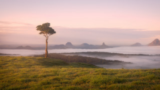 Tree hill foggy valley clouds - low free wallpaper