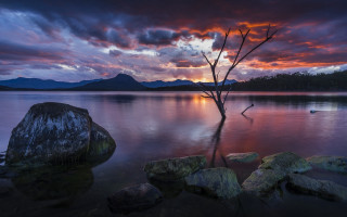Tree water sunset boat mountain - winning free wallpaper for desktop