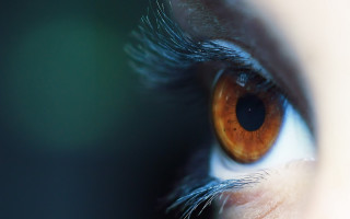 Eye brown iris macro realistic - realistic eye free wallpaper