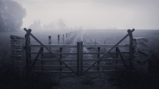 Gate field road fog night - tonalism free wallpaper