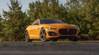 Yellow sports car forest road 2 - a forest of trees and bushes free wallpaper