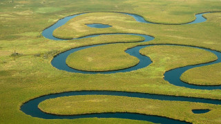 River forest green field ecological - river free wallpaper