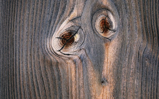 Wooden knot holes macro face - a wooden surface free wallpaper