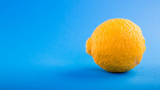 Orange blue stilllife sunflower sky - single free wallpaper