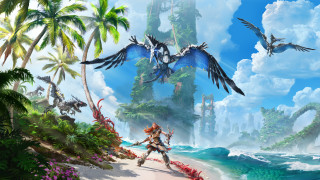 Woman beach bird fantasy art - over her head free wallpaper