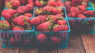 Strawberries blue basket food flower - berry free wallpaper