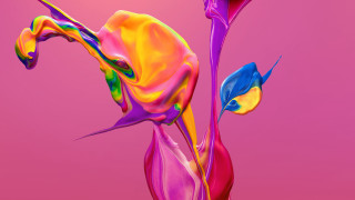 Colorful flower pink background blue - a colorful flower free wallpaper