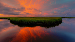 Sunset marshy area water grassy - alexander brook free wallpaper