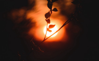 Sun backlighting orange sky twilight - the dark sky free wallpaper