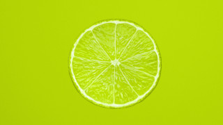 Lime slice green background white - a lime free wallpaper