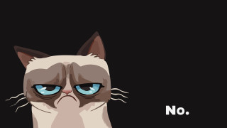 Grumpy cat blue eyes no 2 - text free wallpaper