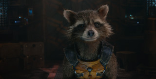 Raccoon leather outfit dark room - a large window free wallpaper