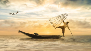 Man boat birdcage sky birds - him free wallpaper for desktop