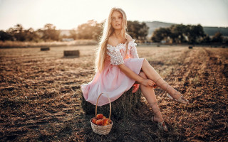 Woman sitting tree stump field - a basket of apples free wallpaper