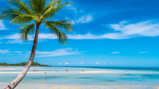 Palm beach water boat sky - cui bai free wallpaper