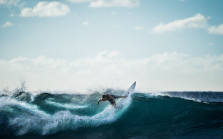 Surfer riding wave ocean sunny - in the ocean free wallpaper