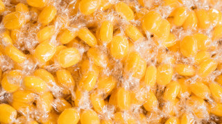 Yellow beans bowl water spoon - a spoon free wallpaper