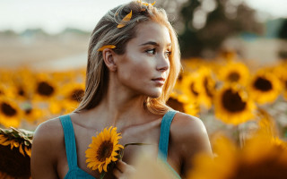 Woman sunflower field autumn blurry - a field of sunflowers free wallpaper