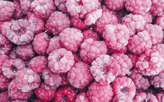 Raspberries ice water droplets microscopic - a bunch of raspberries free wallpaper