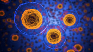 Yellow blue cells cellphone blue - biopunk free wallpaper