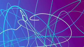 Blue purple lines bird manessier - back side free wallpaper