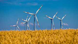 Wind turbines wheat field blue - blue sky in the background free wallpaper