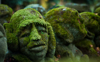 Moss covered statues forest face - a forest setting free wallpaper