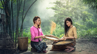 Bamboo forest girls rice book - their other hand free wallpaper
